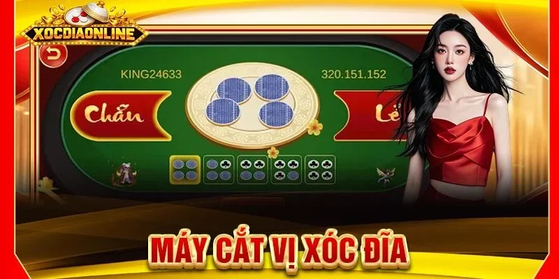 Máy Cắt Vị Xóc Đĩa Có Thực Sự Hiệu Quả? Giải Mã Từ A - Z