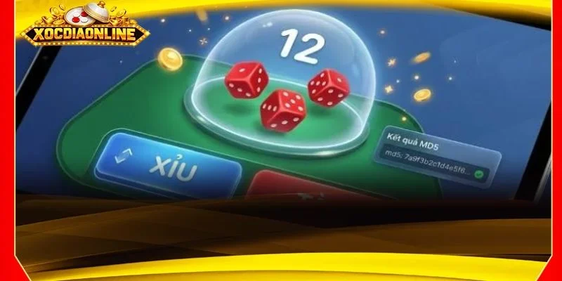Xóc đĩa MD5 với chuỗi hash là nơi nhiều người chơi thường ghé thăm
